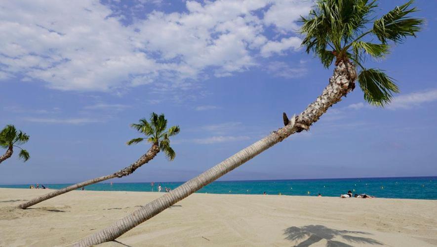 Appartement De Vacances - Splendide Vue Sur Mer, Parking Prive Le Barcares Luaran gambar