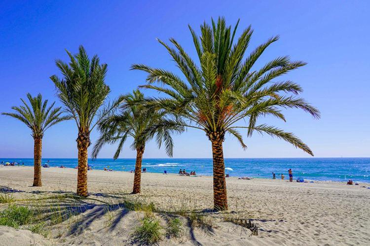 Appartement De Vacances - Splendide Vue Sur Mer, Parking Prive Le Barcares Luaran gambar